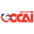 OCAI